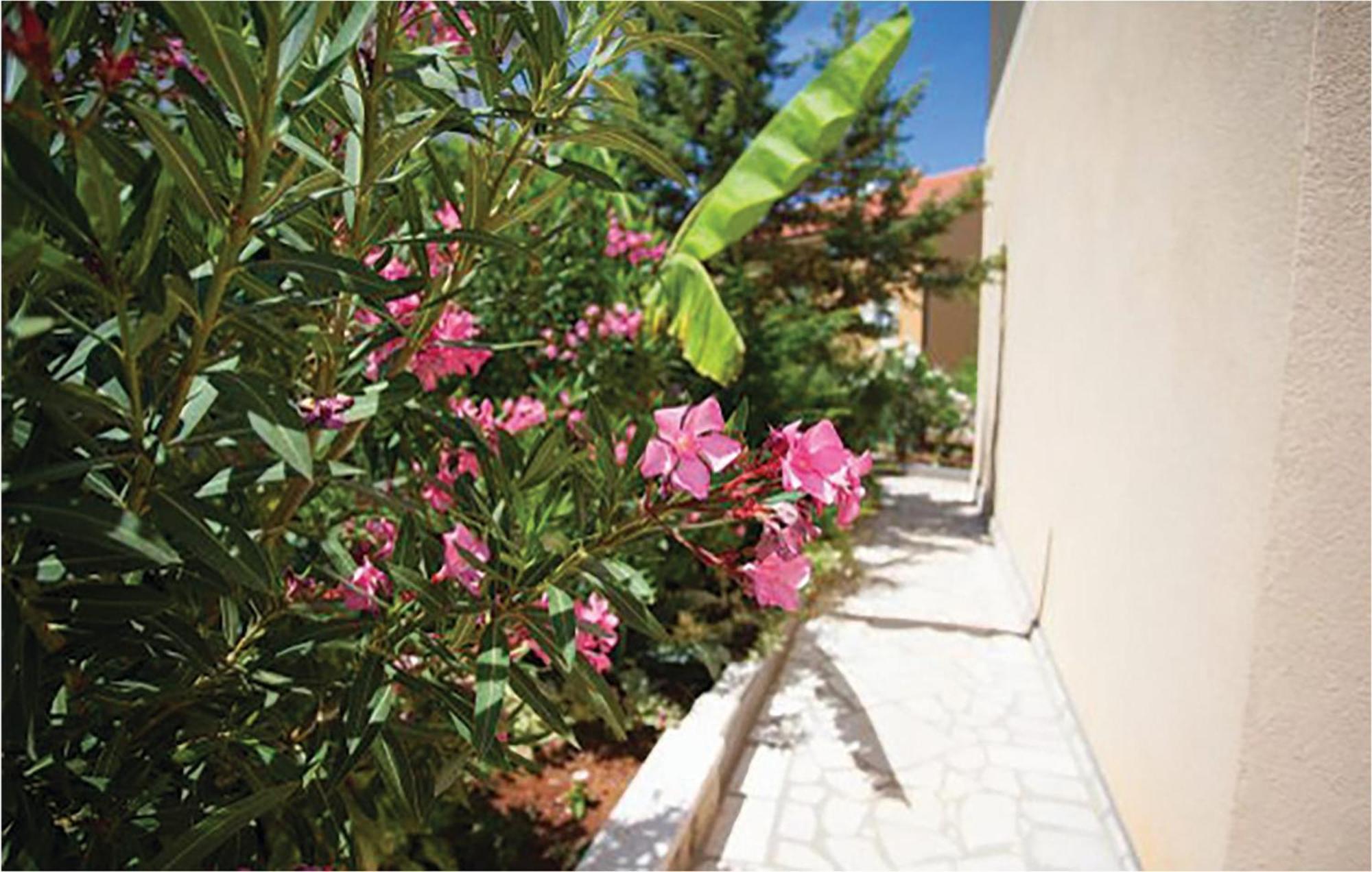 1 Bedroom Beautiful Apartment In มาลินสกา ภายนอก รูปภาพ